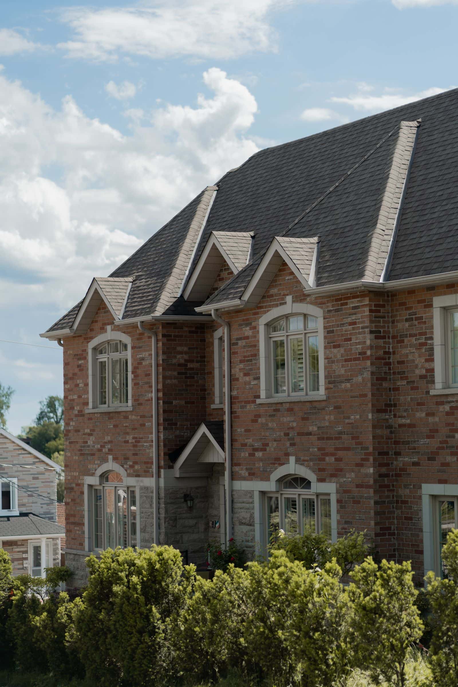 Chimney Mold & Moisture in Florida Homes
