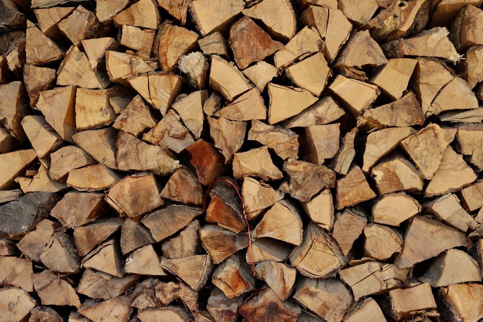 Freshly chopped firewood