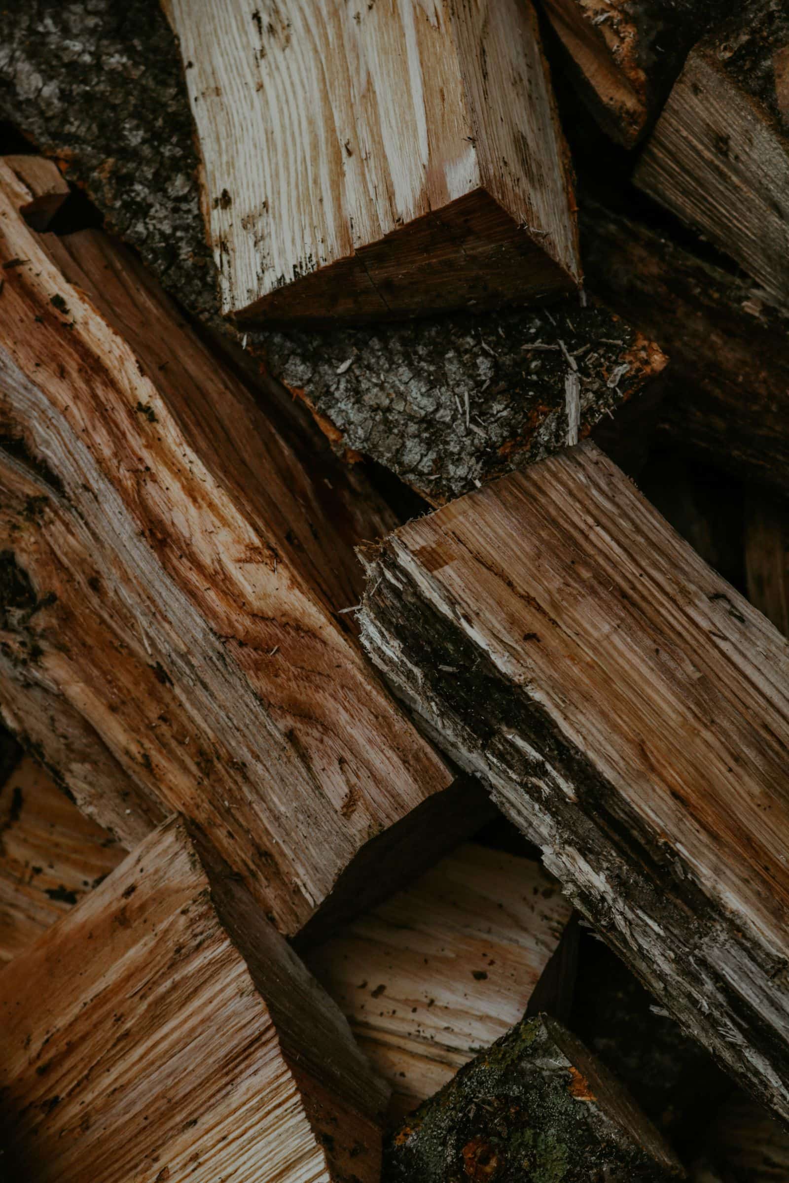Close-up of split firewood showing the end grain