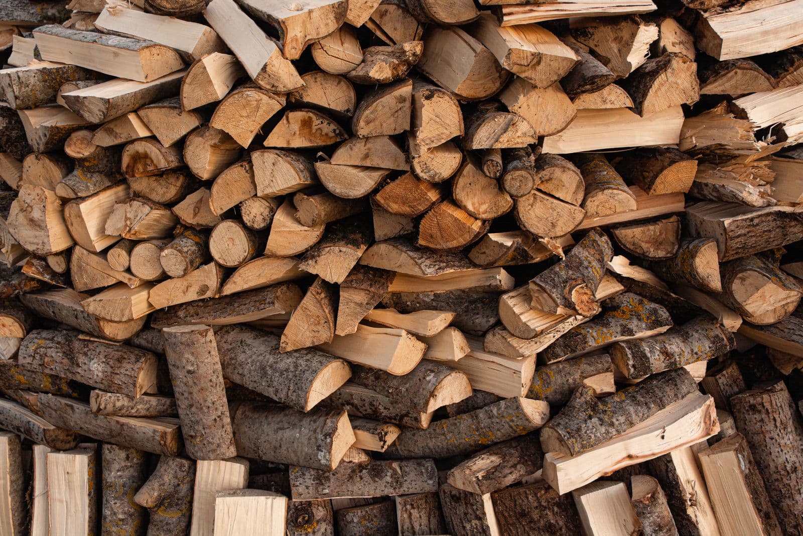 Split firewood stacked in a neat row to season