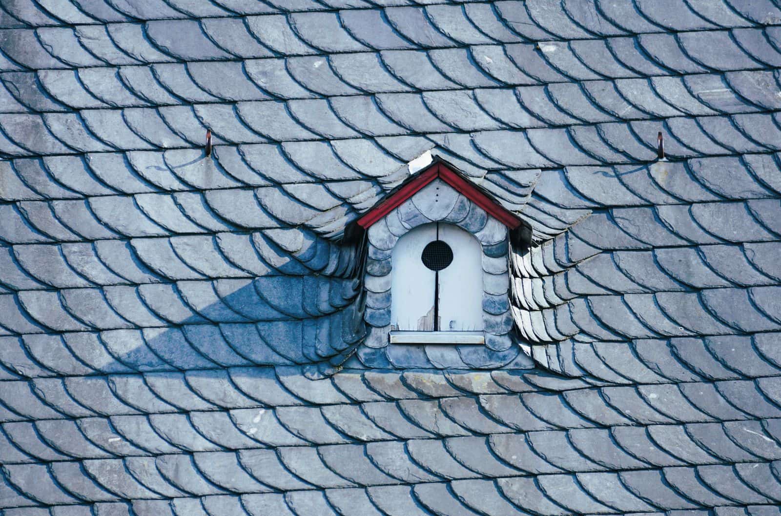 A slate roof with a birdhouse-style vent