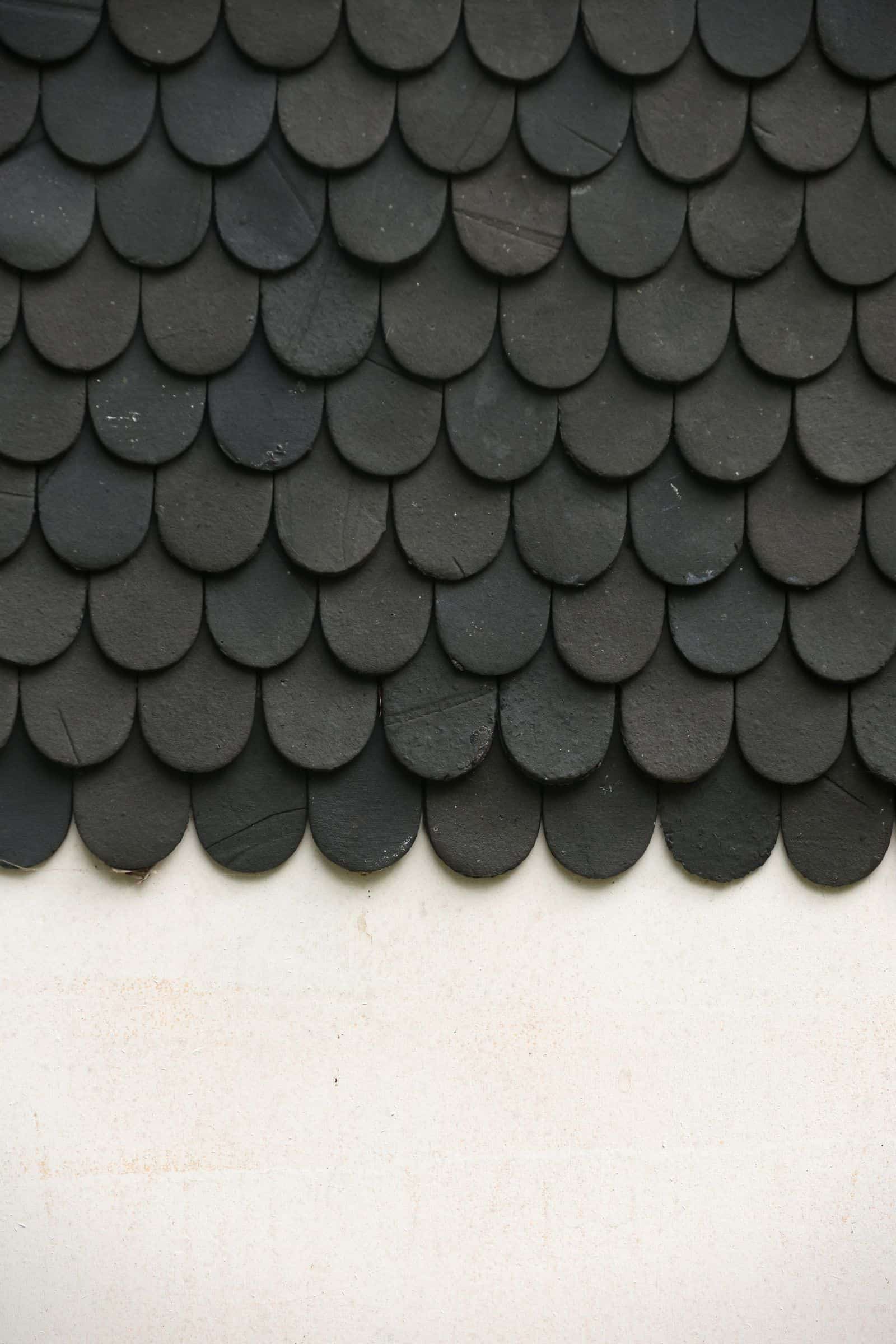 Close-up of black asphalt roof shingles