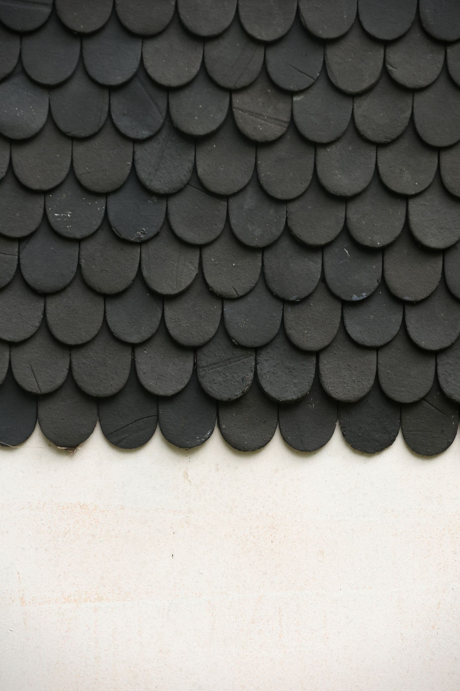 Close-up of black asphalt roof shingles